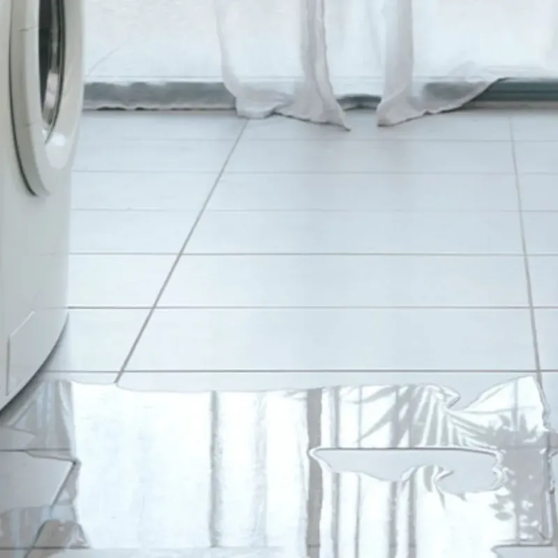 Appliance Leak Cleanup in Cairo, IL