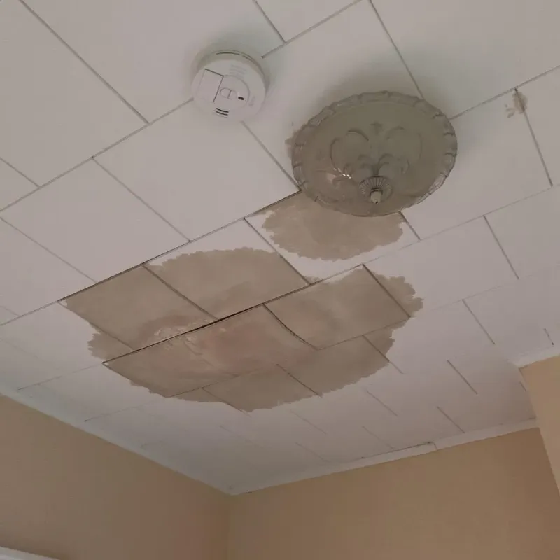 Ceiling Water Damage Repair in Cairo, IL
