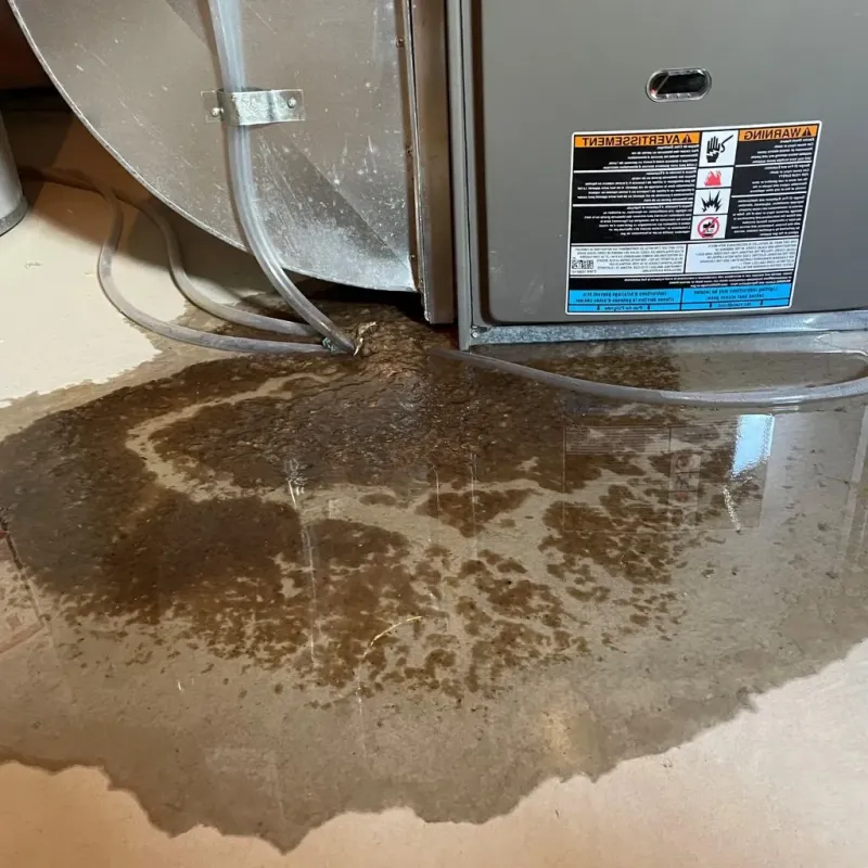 Pipe Burst and Leak Restoration in Cairo, IL