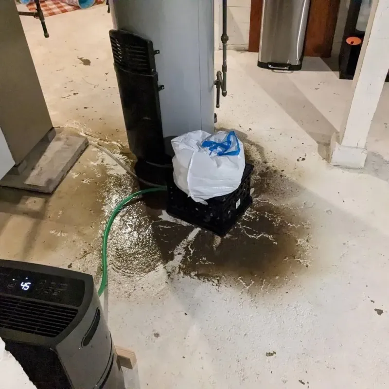 Sewage Backup Cleanup Service in Cairo, IL